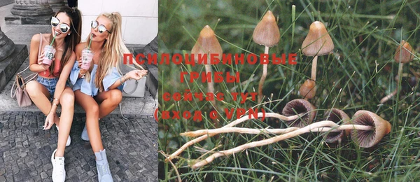 ешки Медвежьегорск