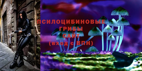 кокаин Михайлов