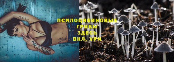 ALPHA PVP Мегион