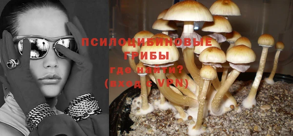 эйфоретик Михайловск