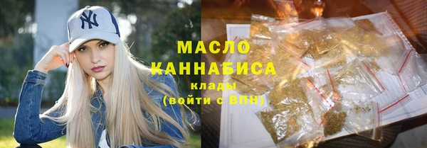 индика Горнозаводск
