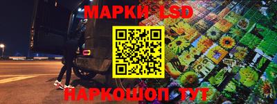 шишки Бийск