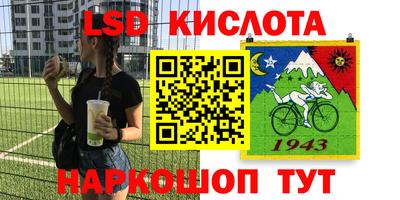 шишки Бийск