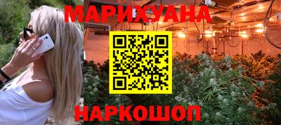 шишки Бийск