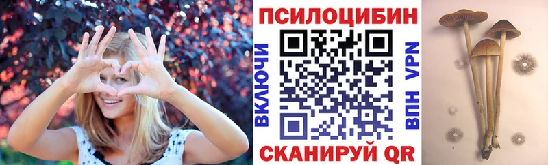 нарко площадка состав  где купить наркоту  Домодедово  Псилоцибиновые грибы Cubensis  МЕГА зеркало 