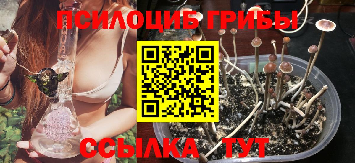 Псилоцибиновые грибы прущие грибы Домодедово
