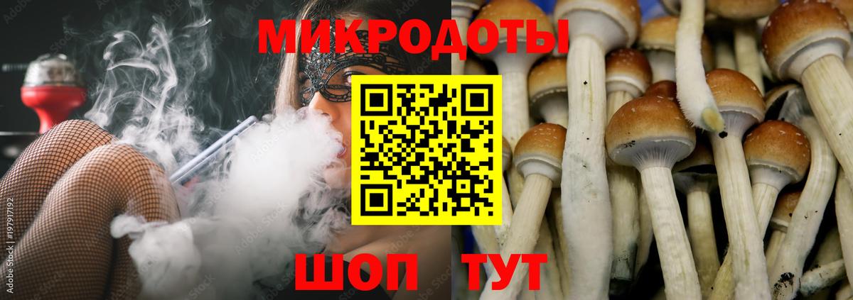 Домодедово  Псилоцибиновые грибы Cubensis  Вход с VPN 